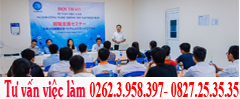 Tư vấn việc làm